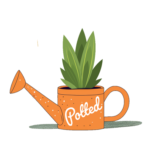 Orange watering can with green plant growing out of it. "Potted" is written on the side of the can