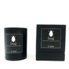 St. Agnes Fresh Scented Candles in bug