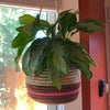 Hanging Woven Planter Brick/Pink/Sweetgrass with a silver bay