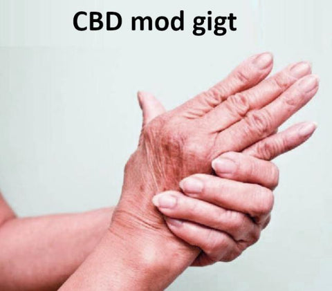 CBD mod gigt