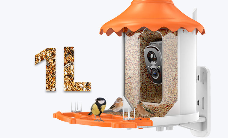 Fockety Nourrisseur d'oiseaux Intelligent avec caméra, caméra détachable à  Vision Nocturne pour nourrisseur d'oiseaux Intelligent Objectif Ultra Grand