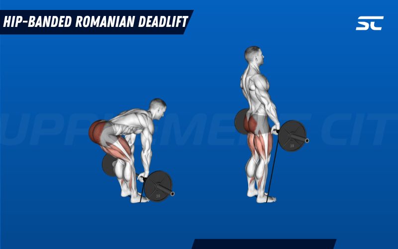 a man doing hip banded romanian deadlift