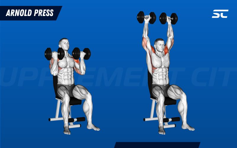How to Perform the Arnold Press