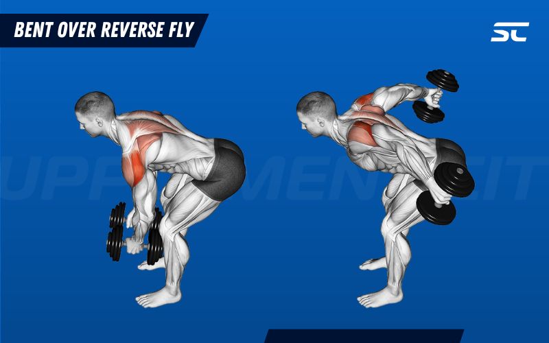 How to Perform Bent Over Reverse Flys