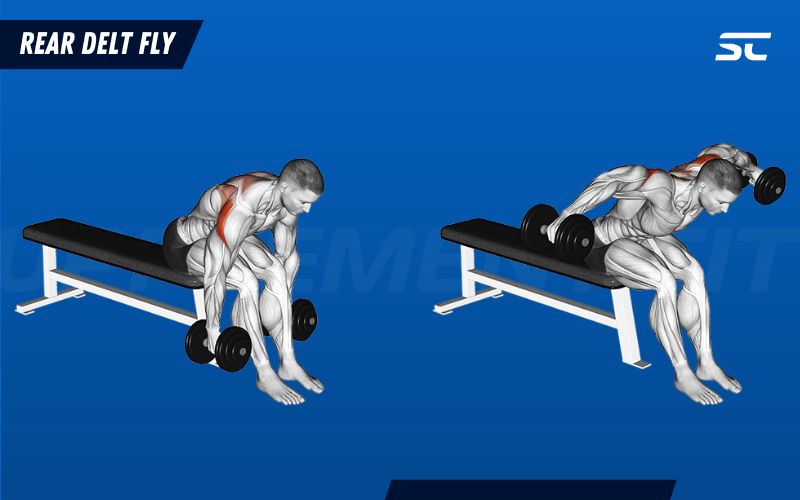 How to Perform a Rear Delt Fly