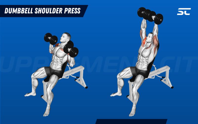 How to Perform a Shoulder Press