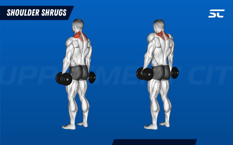 How to Perform Shoulder Shrugs