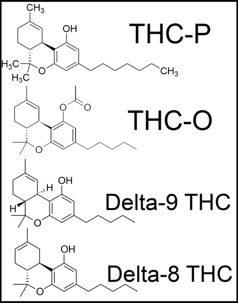 THC-P vs THC-O vs Delta-9 vs Delta-8