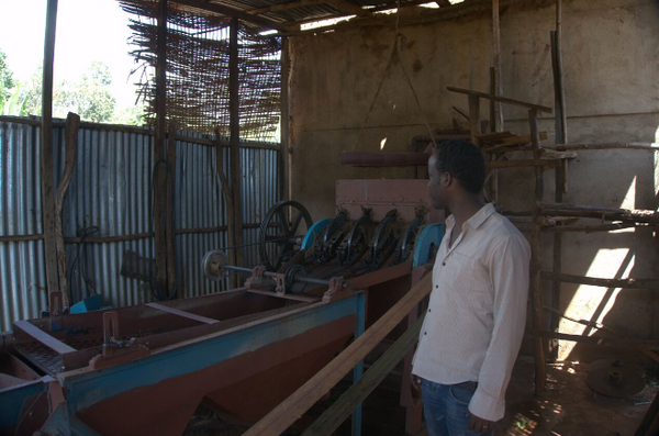 dépulpeur station lavage Ethiopie hallu fuafate