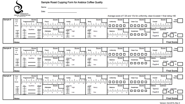 grille évaluation cupping scaa