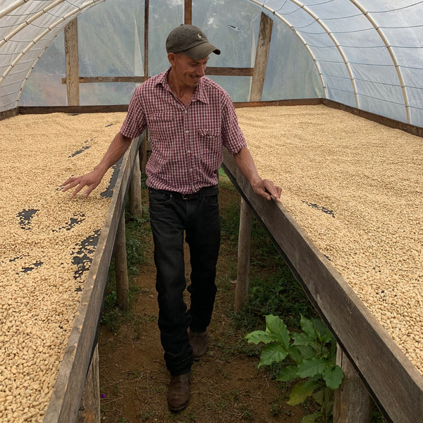 Neptaly Bautista Honduras Coffee Producer 