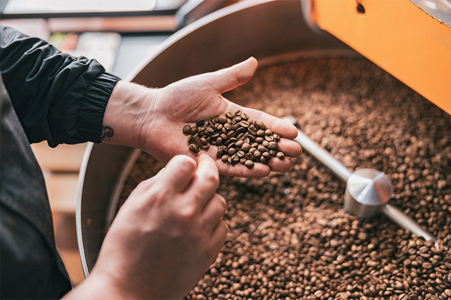 male-master-checks-the-quality-of-roasting-coffee