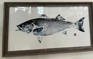 Framed Striped Bass blu black 41 x 22  framed print - fishedimpressions