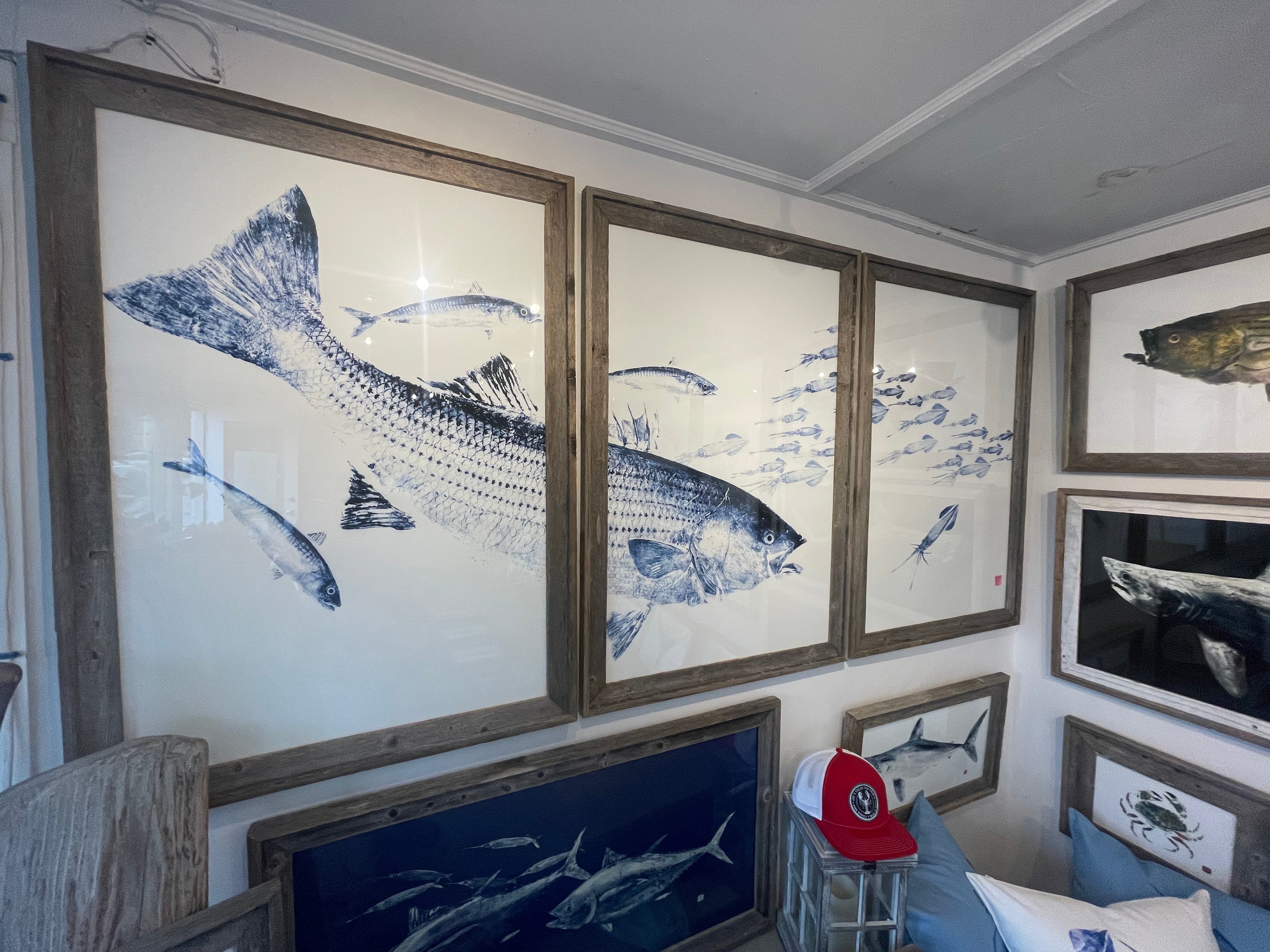 Framed Striped bass Chasing Macs triptych indigo