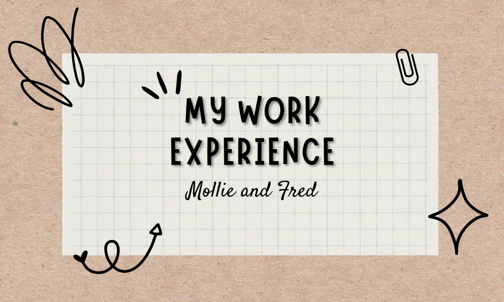 My Work Experience - Mollie and Fred Blog