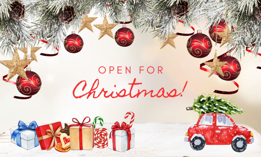 Open For Christmas Mollie and Fred Blog Banner