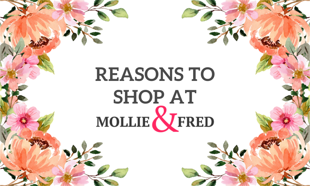 Reasons to Shop at Mollie and Fred Blog Banner