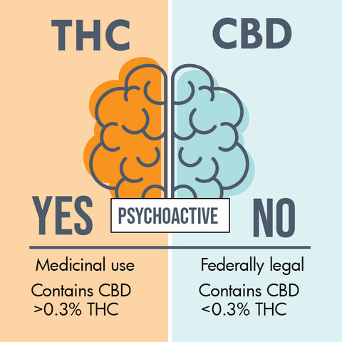 Is THC or CBD Psychoactive