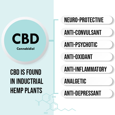 What is CBD? CBD is found in inductrial hemp plant