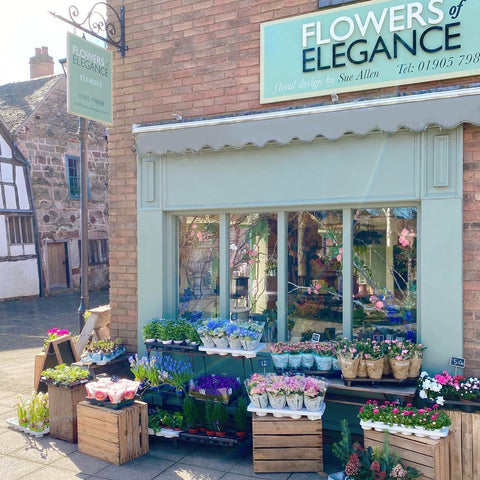 Flowers of Elegance Store Front 