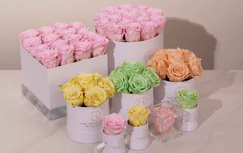 Rose Boxes