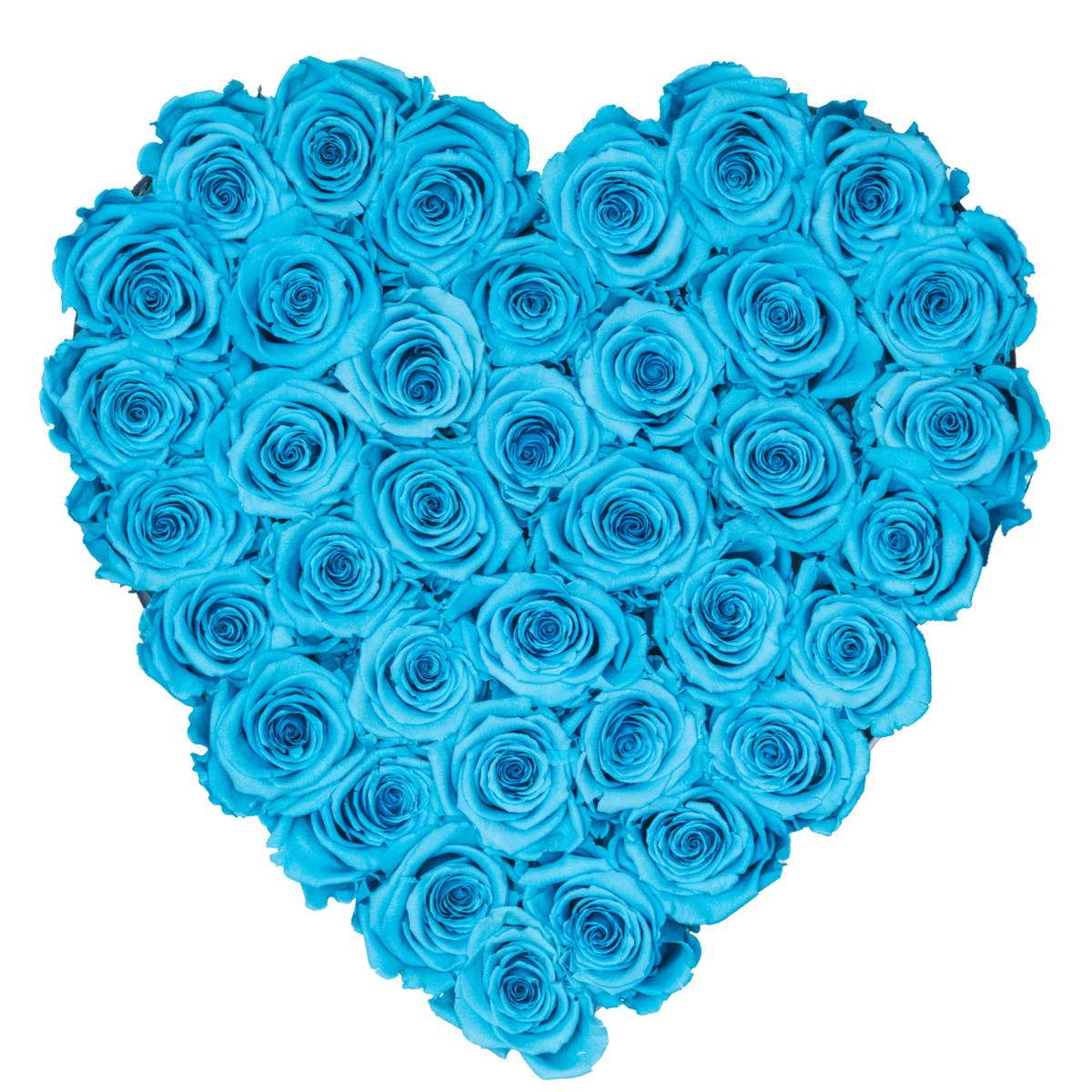 Rose Last A Year | Blue Preserved Roses White Heart Huggy Box