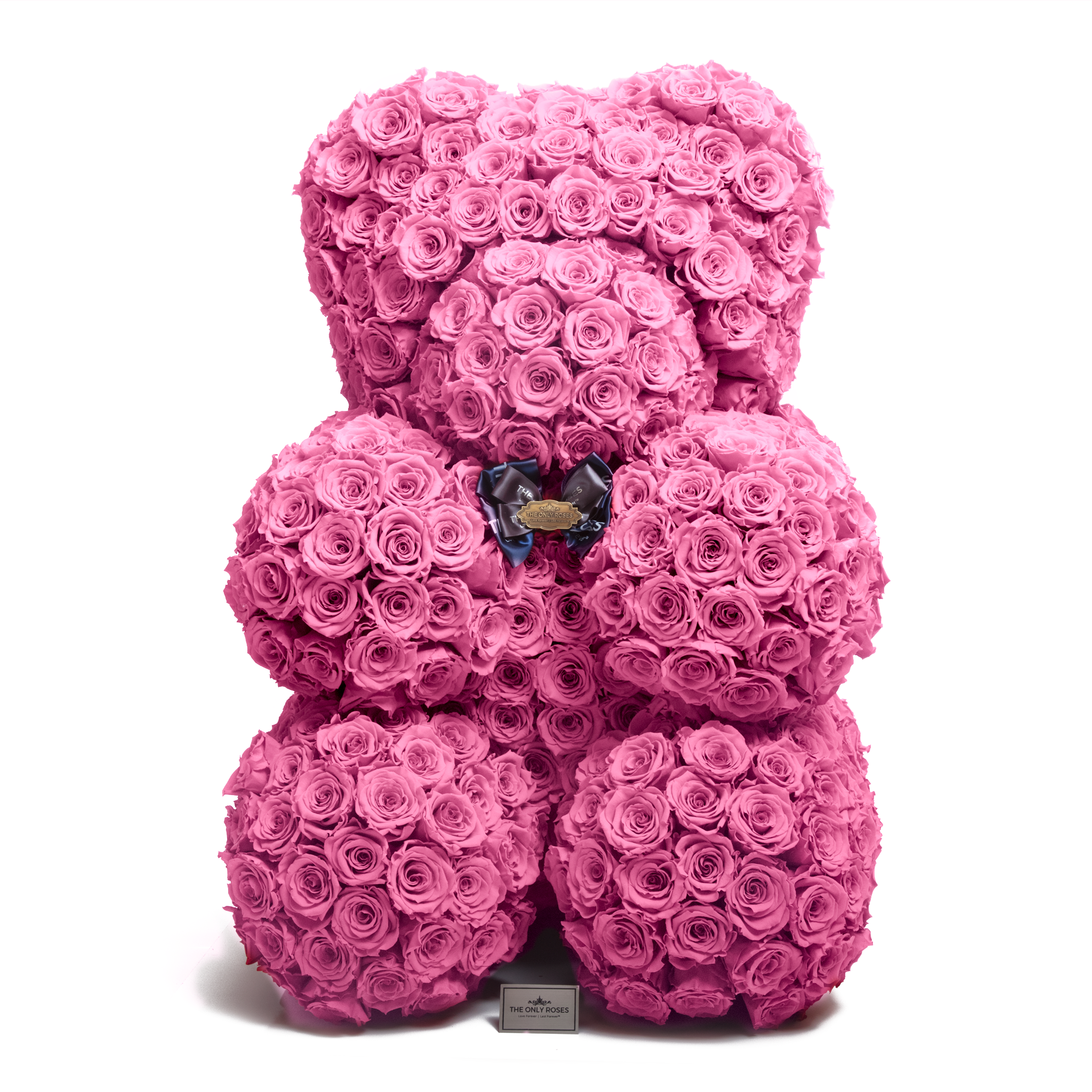 true love bear roses