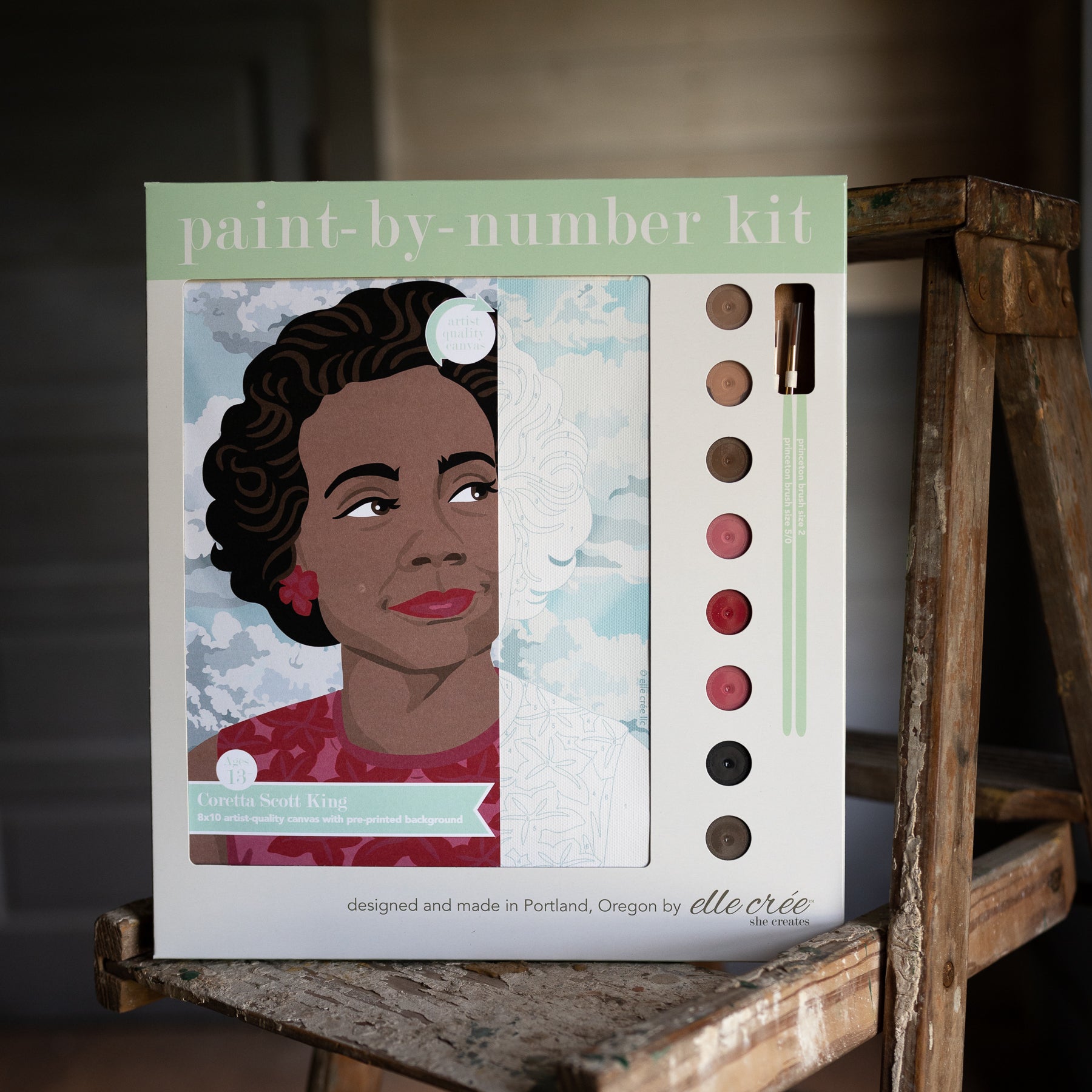 Martin Luther King Jr. Paint-by-Number Kit - Stash