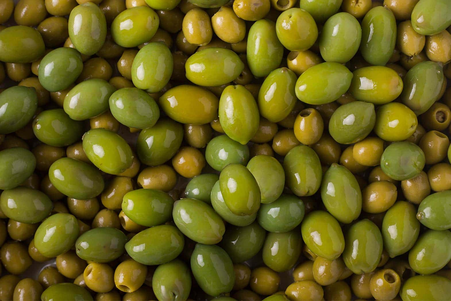 Pitted Olives Guide + Olive Glossary Sous Chef UK