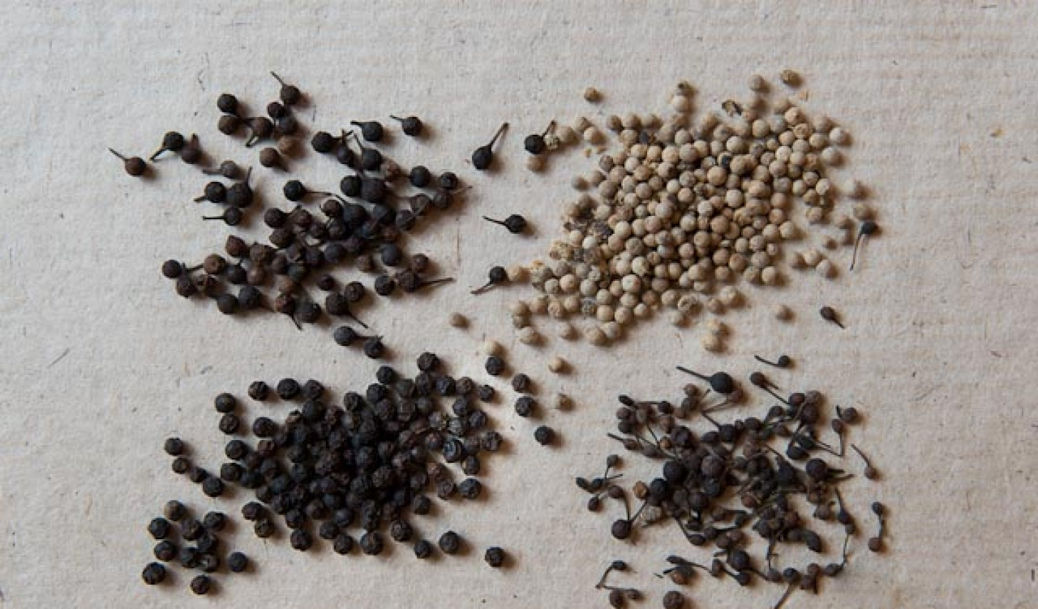 Pepper: The Rise And Fall Of Black Gold – Sous Chef UK