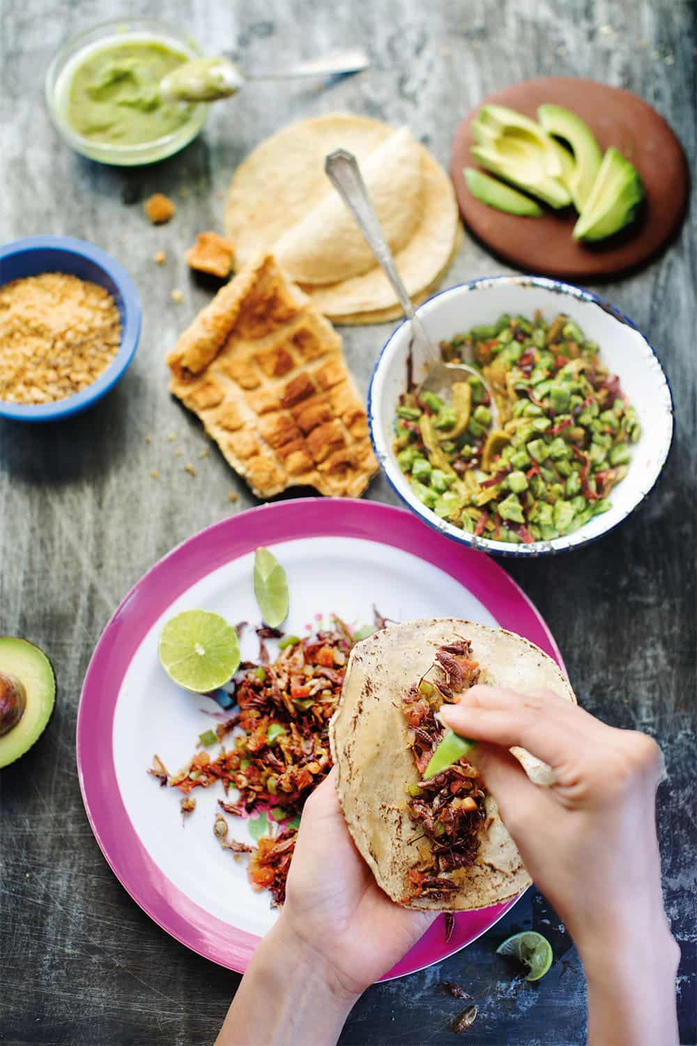 Tacos de Chapulin and Chicharrón