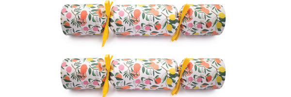Best sustainable Christmas crackers 2023