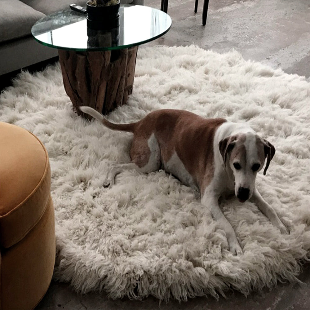 SUPER THICK 3X5 COCO FLOKATI RUG | THICK 3000gsm WEIGHT | LONG 3.5 PILE