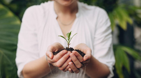 organic farming soil