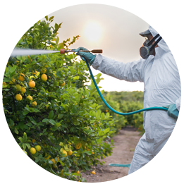 Groundskeeper Watering