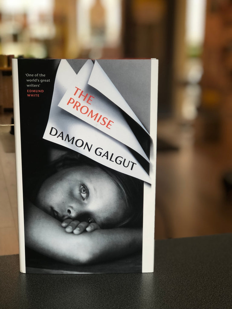 reviews of the promise by damon galgut