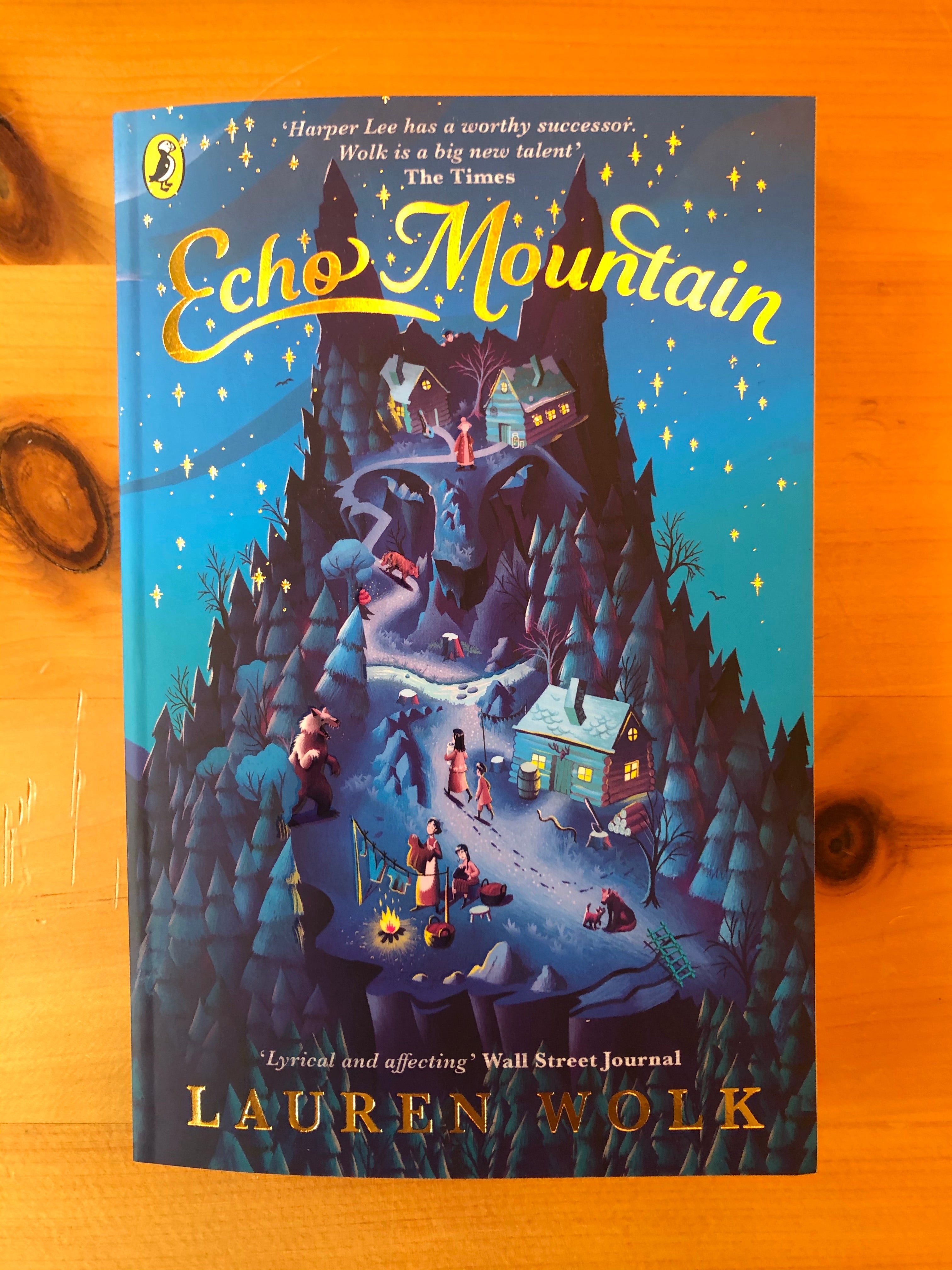 echo mountain novel