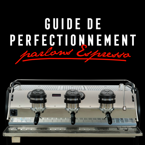 Guide de perfectionnement : parlons Espresso