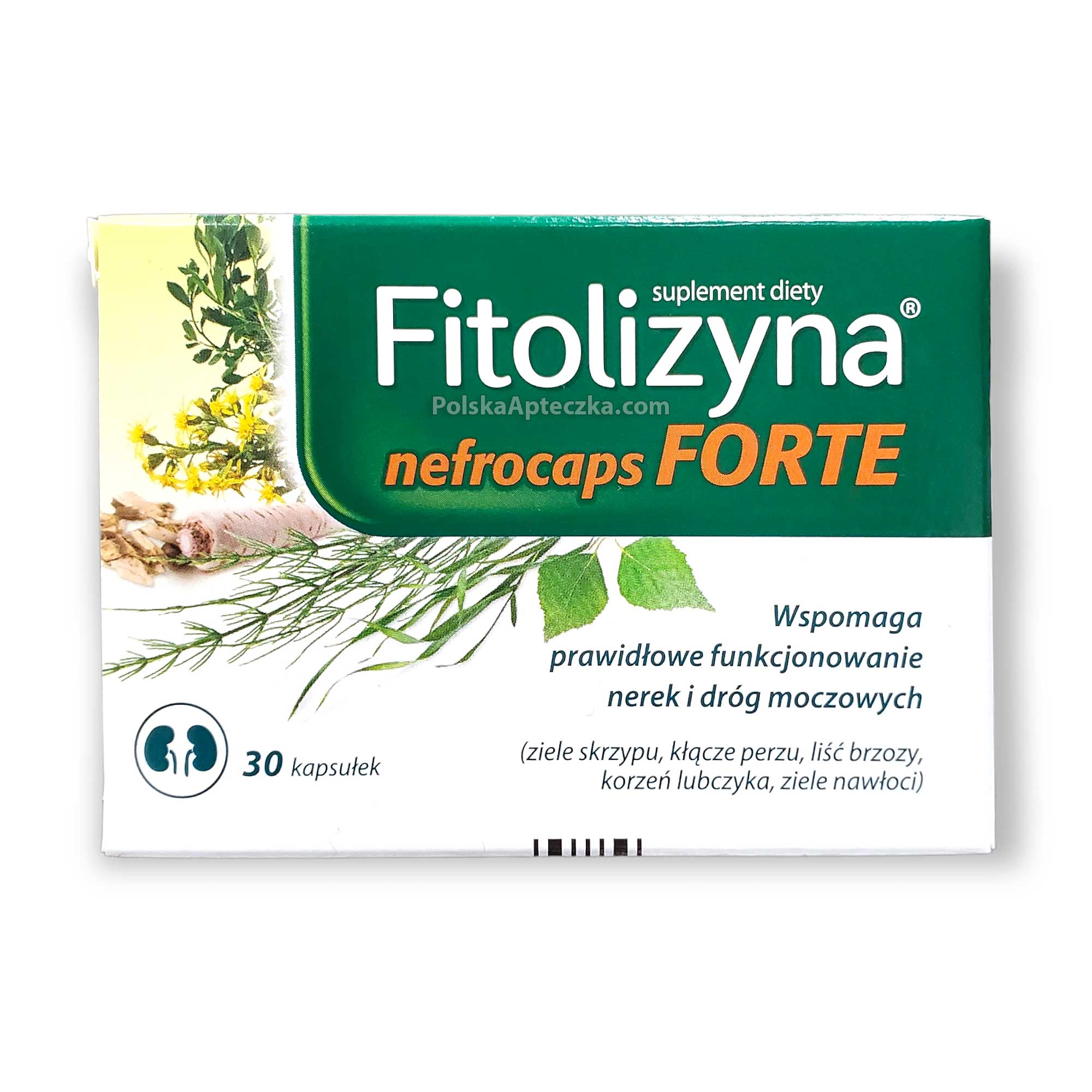 Fitolizyna Nefrocaps FORTE 30 capsules | Chicago, USA – APTECZKA | Proton  Nutrition