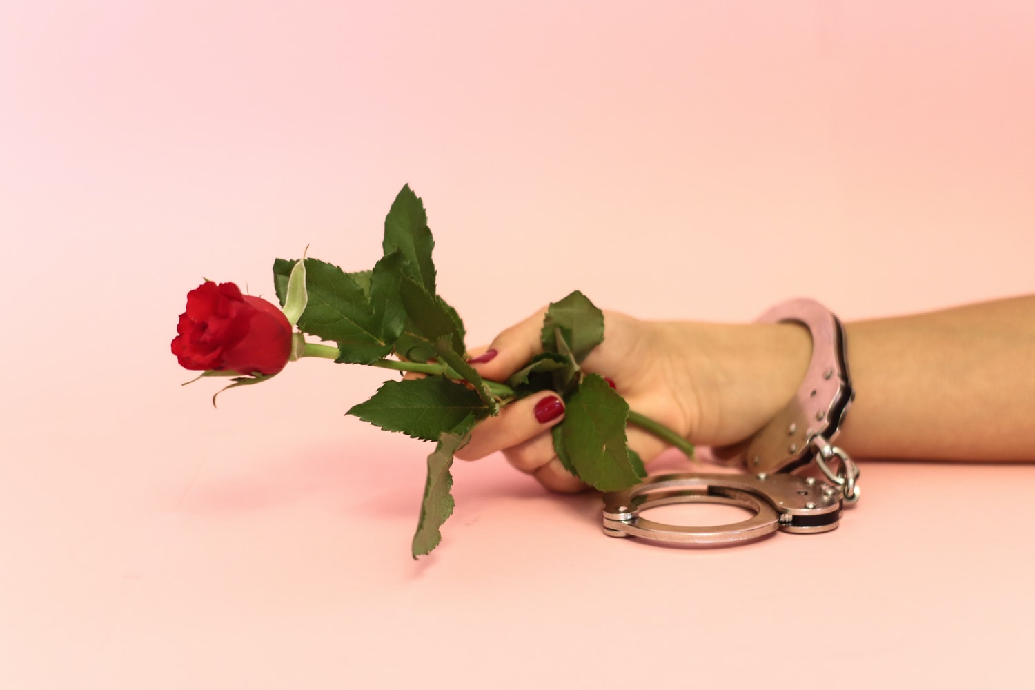 Woman’s wrist in handcuffs holding a rose