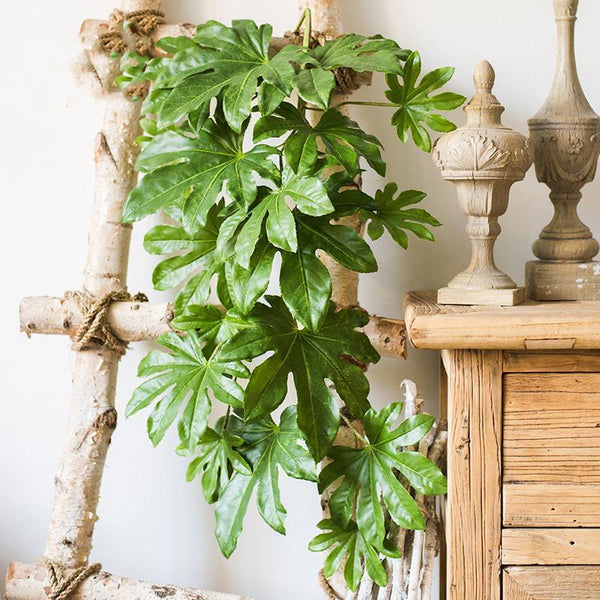 Artificial Plant Fatsia Leaf Vines