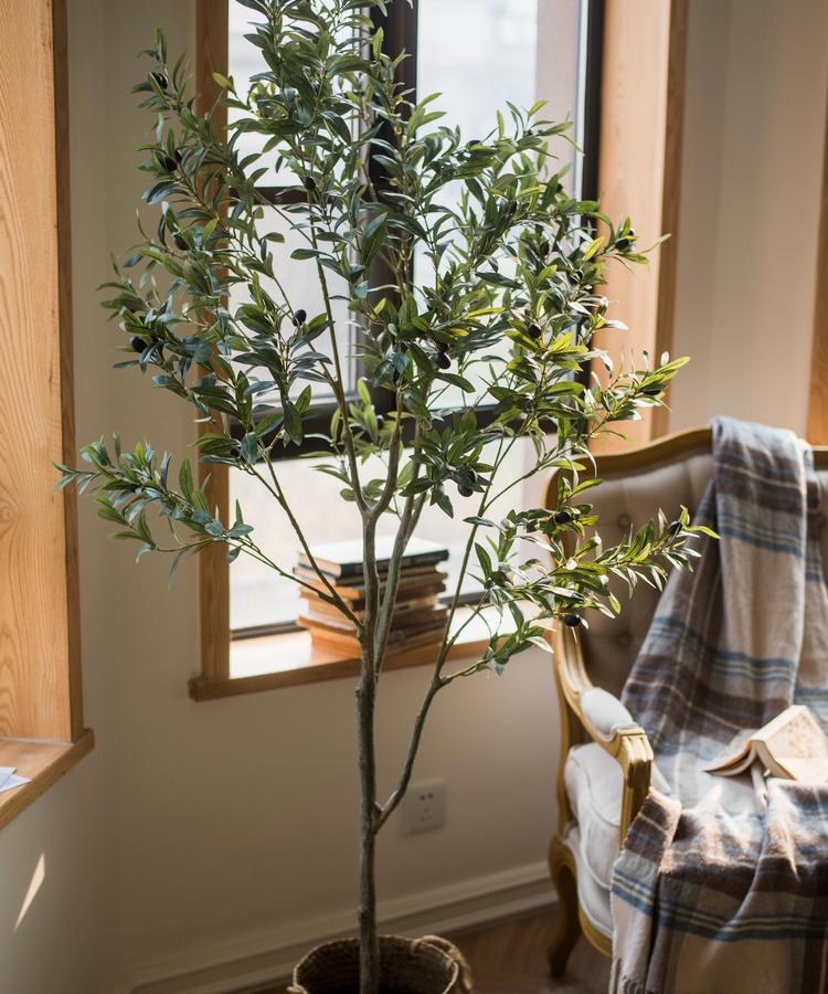 Artificial Olive Trees | Faux Olive Tree – RusticReach