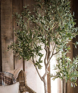 olive tree artificial, artificial olive trees, artificial olive tree, fake  olive trees, faux olive tree, silk olive tree