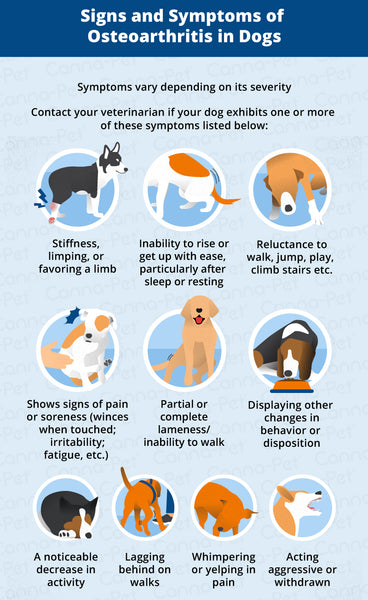 Symptoms Of Osteoarthritis In Dogs