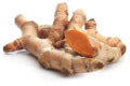 Curcuma Longa Rhizome