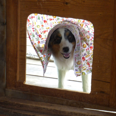 Scout pup peek casita door flap