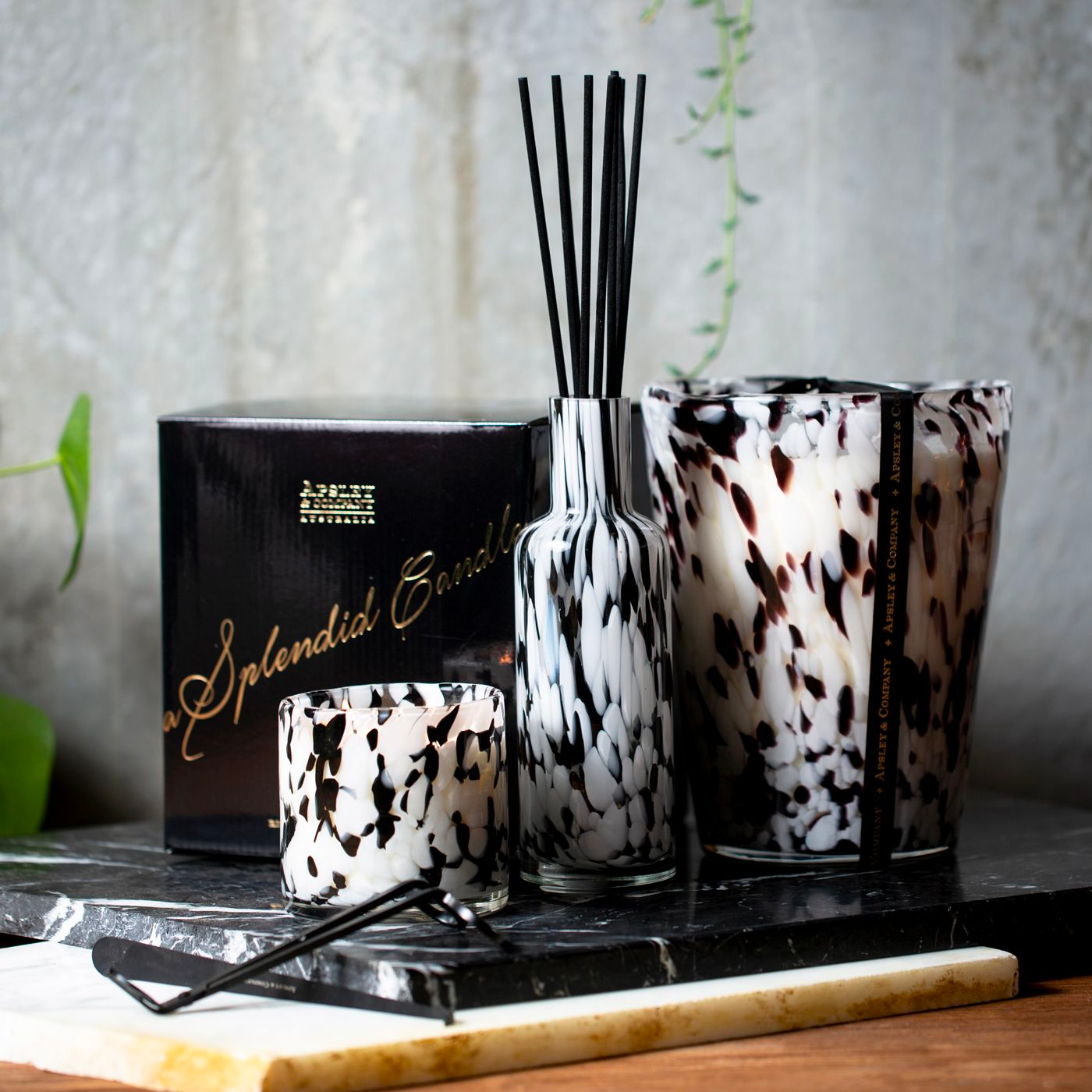 zibra pattern candle and diffuser setting