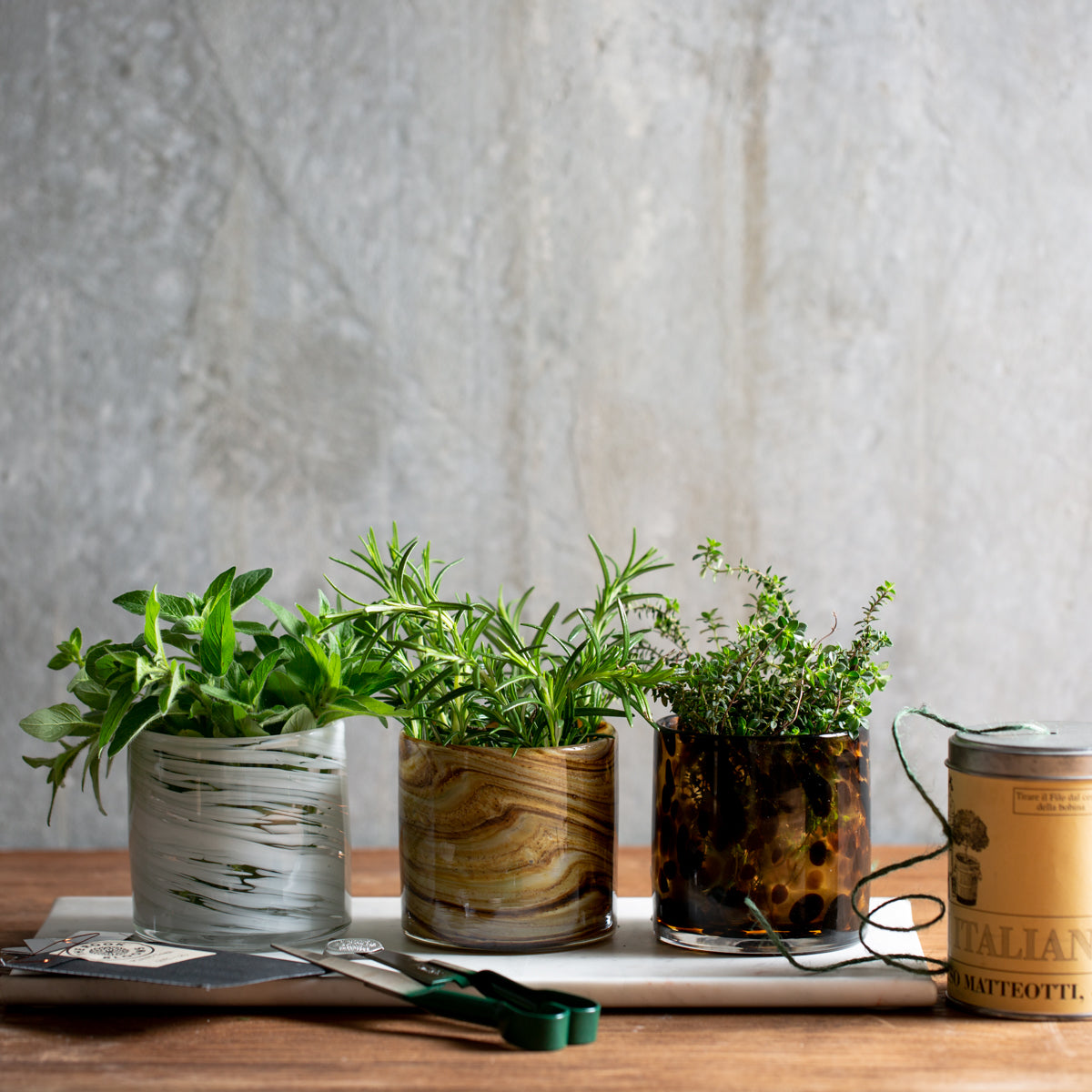 3 little plants in vases