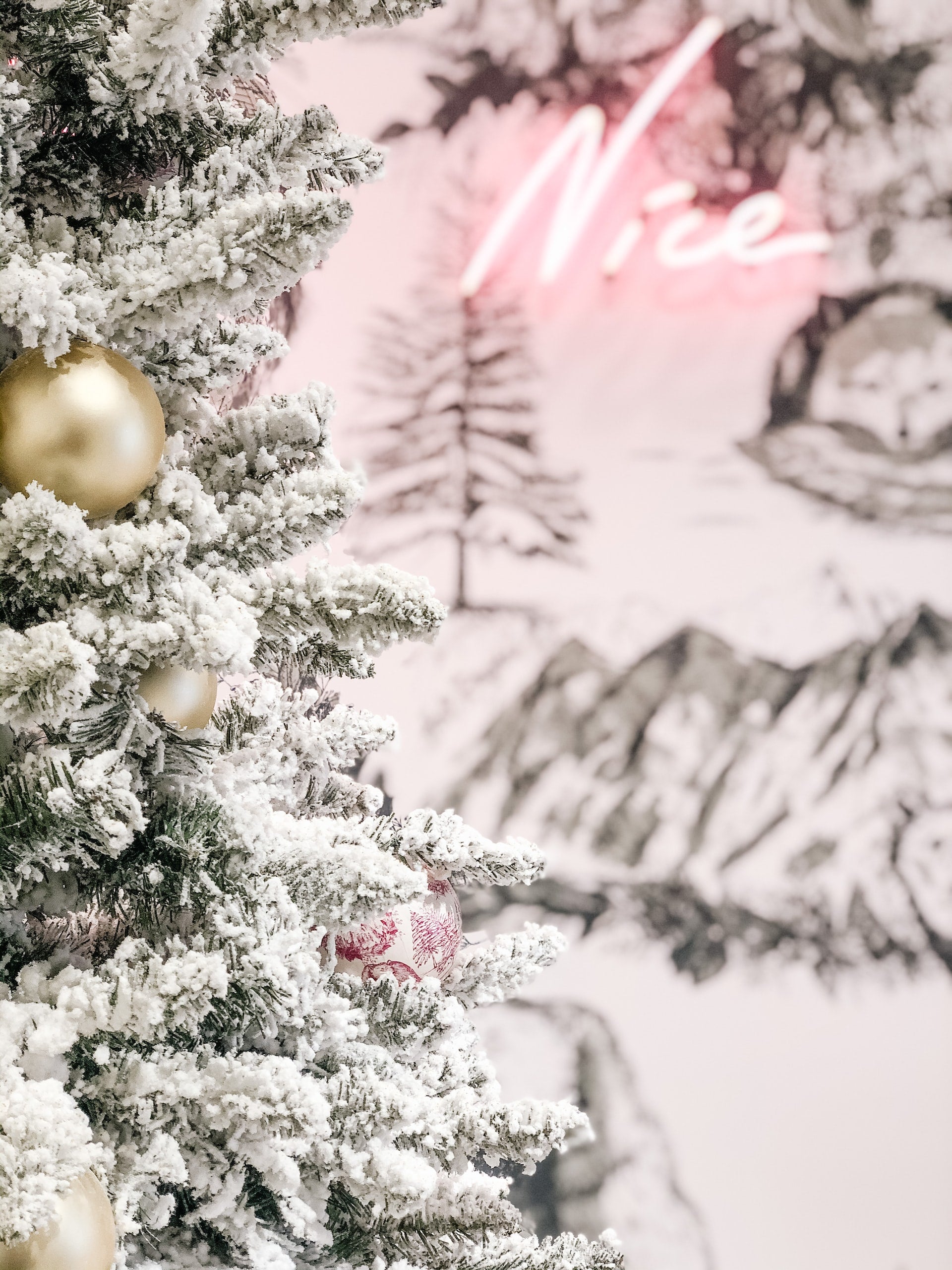 frosty tree with pink neon sign