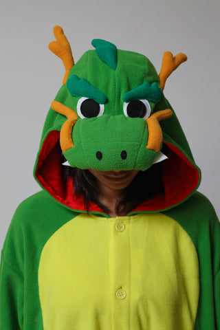 Dragon kigurumi